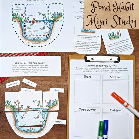 Pond Habitats Mini Study: An ecology study pack for kids - learn about the different habitats in and around ponds! Habitat Stem Activities, Habitat Sorting Activity, Grade 4 Habitats And Communities Science, Habitat Lessons 2nd Grade, Teaching Habitats, Pond Habitat, School Materials, Homeschool Printables, Homeschool Lesson