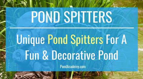 Pond Spitter, Pond Spitters, Dog Pond, Dog Fountain, Solar Pond, Pond Decorations, Pond Aerator, Pond Maintenance, Backyard Pond