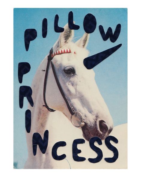 Giddy up, queers! 🐴🏳️‍🌈⁠ ⁠ ‘Queer Horses’ is an art book created by artist and illustrator, Stef Mosebach. Consisting of of 38 postcards, the book combines vintage images of horses with codes and slang from the queer community.⁠ ⁠ Sourcing images of horses from Ebay and using terminology from Stef’s own queer experiences, the book provides a light-hearted and joyous view of our sub-cultures. ⁠ ⁠ So, whether you’re a twink, baby dyke or gym bunny, this one’s for you.⁠ ⁠ Head to the link in bio... Pillow Princess, Looney Tunes Cartoons, Poster Layout, Graphic Artwork, Year 2024, Horse Girl, Freelance Illustrator, Horse Art, Glossy Paper