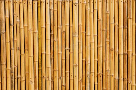 Bamboo Panels, Vinyl Photography, White Fence, Horizontal Fence, Bamboo Canes, Timber Panelling, Front Yard Fence, Farm Fence, Bamboo Fence