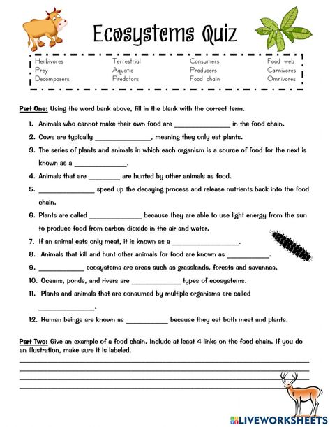 Year 5 Science Worksheets, Grade 7 Science Worksheets, Grade 4 Natural Science Worksheets, Sixth Grade Worksheets, Ecosystem Activities For Kids, Grade 4 Science Worksheets, Grade 5 Science Worksheets, Science Worksheets For 4th Grade, Ecosystems 4th Grade