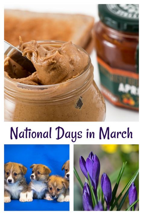 March National Days from peanut butter lovers day, to pets day and flowers day, every day of March is a reason to celebrate.  #nationaldays #celebrateationaldays #celebrations #holidays National Days In March, March Themes, A Days March, March Month, National Days, Crazy Facts, Lovers Day, Peanut Butter Lovers, Good Excuses