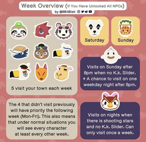 Acnh Npc Schedule, Acnh Guide, Week Overview, Acnh Tips, Acnh Patterns, Tom Nook, Animal Crossing Funny, Animal Crossing Memes, Animal Crossing Guide