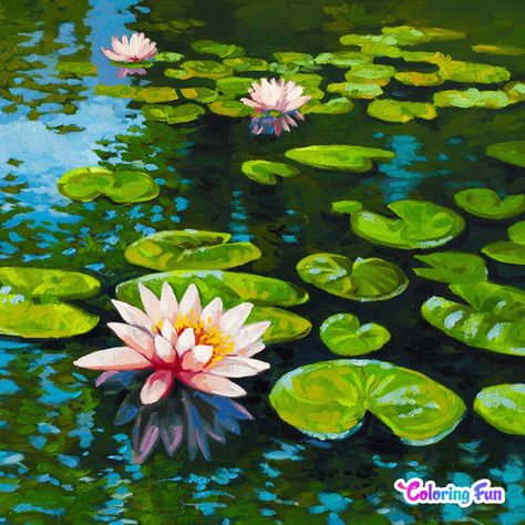 Water Lilies Painting, Lotus Garden, Lilly Pad, Lotus Painting, Sunrise Painting, Lily Painting, Acrylic Painting Flowers, Van Gogh Art, Painting Art Lesson