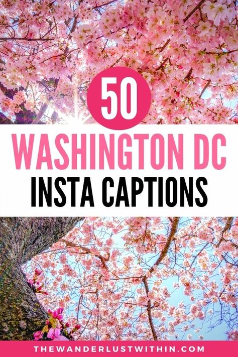 Looking for the best Washington DC Quotes? Check out these epic Washington Instagram Captions | capitol washington dc quotes instagram | washington dc ig captions for washington dc quotes travel | washington captions for instagram captions about washington dc quotes words | insta captions washington dc quotes funny | washington dc quotes life | washington dc quotes inspirational | clever washington dc captions for instagram | funny washington dc captions instagram | washington dc sayings Washington Dc Quotes Instagram, Dc Quotes Inspirational, Washington Dc Captions For Instagram, Washington Dc Quotes, Washington Dc Weekend Trip, Washington Dc Trip Planning, Dc Quotes, Captions For Instagram Funny, Washington Dc Travel Guide