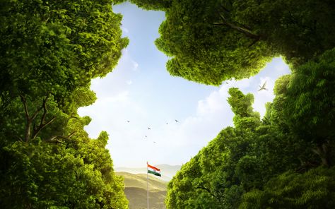 Indian Flag Pic, Trending Wallpapers, Nature Mobile, Indian Flag Photos, Good Earth India, Wallpapers Nature, Indian Flag Images, Indian Flag Wallpaper, Republic Day India