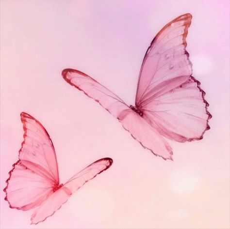 Image uploaded by lolita. Find images and videos about pink, soft and butterfly on We Heart It - the app to get lost in what you love. Princess And The Pauper, Baby Pink Aesthetic, Luna Lovegood, 문신 디자인, Barbie Princess, Barbie Movies, Pink Butterfly, Photo Profil, Pink Aesthetic