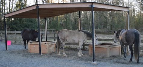 Portable Shelters for Horses | Listen To Your Horse Temporary Horse Shelter, Farm Outbuildings, Wood Shelter, Homestead Plans, Pasture Shelter, Horse Field, Field Shelters, Horse Feeder, Portable Carport