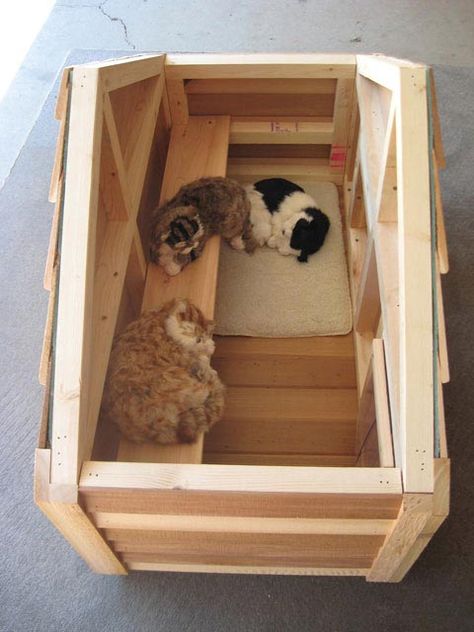 outdoor cat houses | Insulated Outdoor Pet House with Platform Cute Outdoor Cat House, Cat House Design Outdoor, Cat House Ideas Outdoor, Diy Cat House Outdoor, Outdoor Cat House Plans, Cat House For Winter, Heated Outdoor Cat House, Cat House Outdoor, Katt Hus