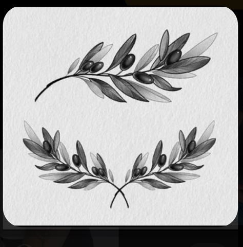 Olive Branch Tattoo Design, Branch Tattoo Design, Oak Leaf Tattoos, Olive Crown, Olive Tattoo, Tree Branch Tattoo, Dragon Tattoo Drawing, Olive Branch Tattoo, Branch Drawing