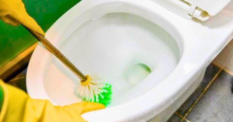 Remove limescale stains from toilets in 10 minutes with ‘magic’ household item Cleaning Toilets, Remove Black Mold, Mattress Stains, Fabric Refresher, Clean Your Washing Machine, Natural Disinfectant, Cleaning Tricks, Laundry Drying, Green Eggs And Ham