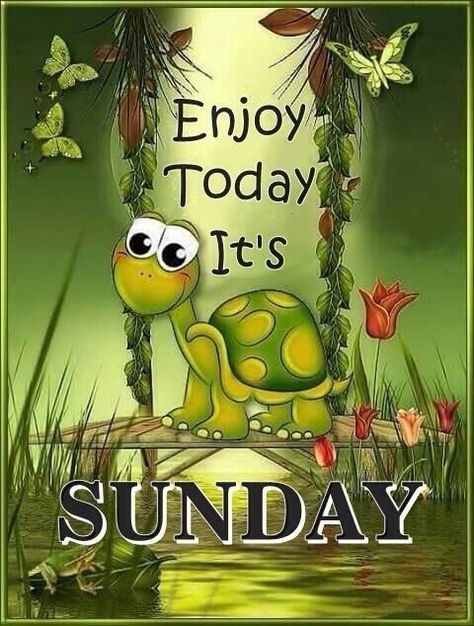 Enjoy Today Its Sunday Happy Sunday Morning, Sunday Quotes Funny, Sunday Greetings, Happy Weekend Quotes, Good Morning Happy Sunday, Weekday Quotes, Weekend Quotes, Happy Sunday Quotes, Blessed Sunday