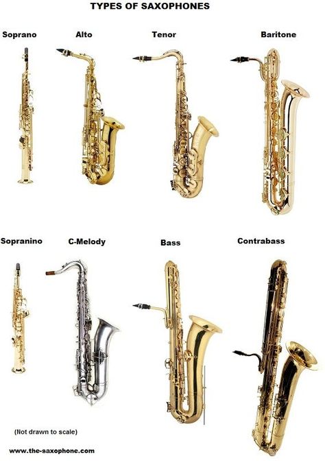 Bass Saxophone, Vintage Saxophones, Sax Music, Arte Jazz, Jazz Instruments, Saxophone Instrument, Jazz Saxophonist, Saxophone Sheet Music, Band Jokes