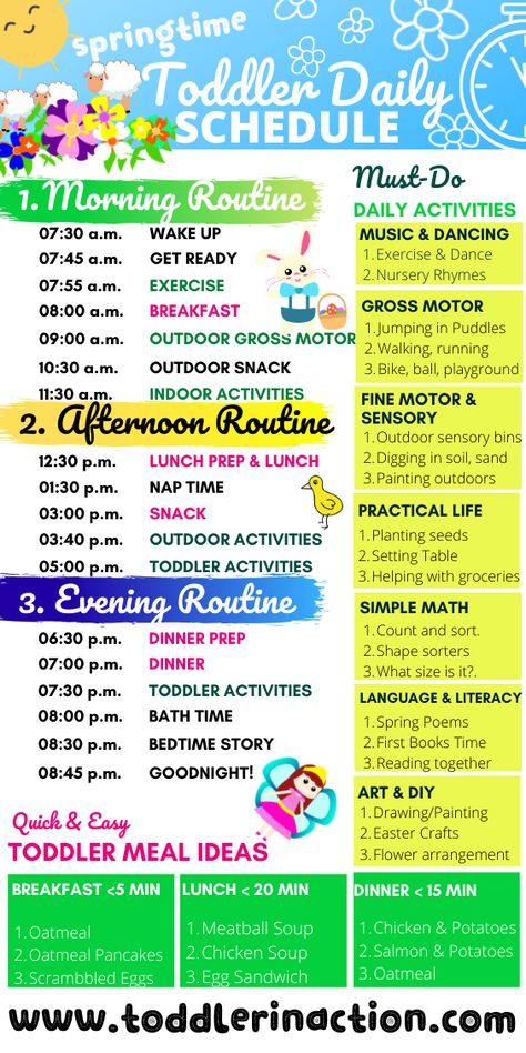 MUST-DO TODDLER ACTIVITIES FOR ANY DAILY SCHEDULE Toddler Daily Schedule, Easy Routine, Co-parenting, Babysitting Activities, Toddler Routine, Preschool Schedule, Toddler Schedule, Summer Schedule, Education Positive