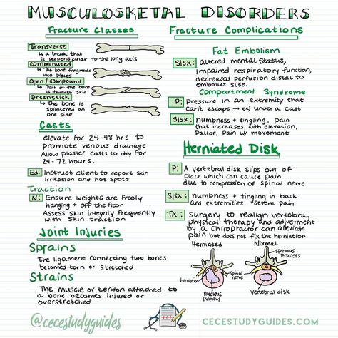 Chelsea | Nursing Education on Instagram: “Do you know the different types of fractures? 🦴 What not to do with traction devices? Believe it or not I had a ton of ortho questions on…” Fractures Nursing, Fracture Types, Ortho Nurse, Bsn Nursing, Types Of Fractures, Memory Notebook, Nurse Notes, Nursing Essentials, Nurse Study