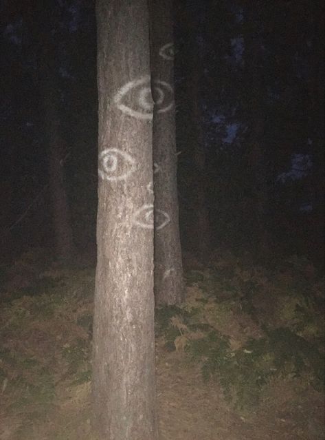 Weird Forest Aesthetic, Liminal Monster, Creepy Forest Art, Cryptid Academia Aesthetic, Creepy Small Town Aesthetic, Cryptids Aesthetic, Creepy Forest Aesthetic, Cosmic Horror Aesthetic, Slenderverse Aesthetic