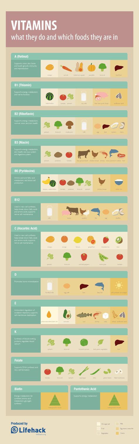 Vitamins Cheat Sheet: What They Do and Good Food Sources [Infographic] Types Of Vitamins, Vitamin B Supplements, Nutrition Sportive, Food Technology, Vitamin B1, Fat Loss Diet, Vitamin K, Vitamin B12, Food Source