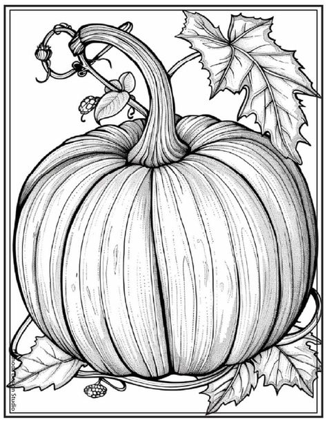 Need some autumn-inspired printables? Our free pumpkin coloring pages, featuring jack-o-lanterns and cute designs, are perfect for fall. Save this pin to enjoy these fun and seasonal worksheets! Pumpkin Worksheets Free Printable, Free Fall Coloring Pages Printables, Pumpkins Coloring Pages, Pumpkin Coloring Pages Free Printable, Harvest Coloring Pages, Free Pumpkin Coloring Pages, Pumpkin Drawing Ideas, Pumpkin Coloring, Book Drawings