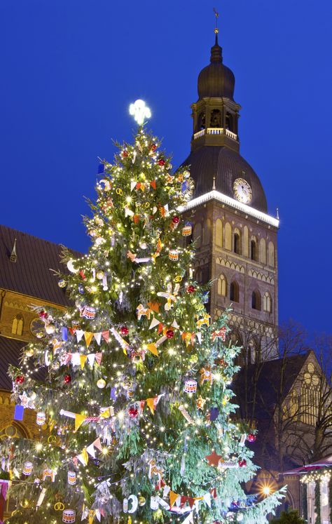 Christmas in Riga, Latvia Riga Latvia Winter, Riga Winter, Latvia Winter, Latvia Aesthetic, Future Christmas, Favorite Christmas Recipes, Christmas In Europe, Aesthetic Winter, Riga Latvia