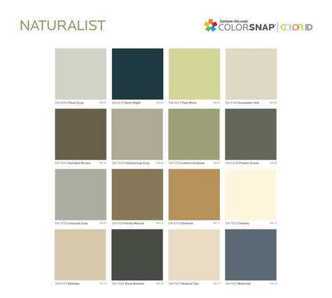 Take This Quiz to Find Out What Color You Should Paint Your Walls Hgtv Paint Colors, Naturalist Decor, Interior Paint Schemes, Sherwin Williams Color Palette, Color Quiz, Paint Trends, Sherwin Williams Colors, Perfect Paint Color, Paint Color Schemes