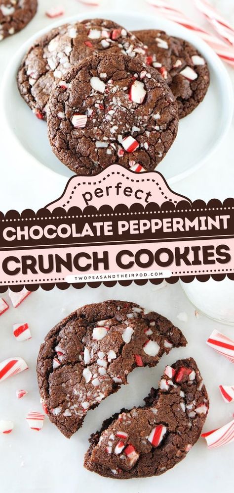 Chocolate Peppermint Crunch Cookies, Christmas cookies, holiday baking recipes Peppermint Crunch Cookies, Chocolate Peppermint Cookies Recipe, Peppermint Brownie Cookies, Peppermint Christmas Cookies, Peppermint Chocolate Chip Cookies, Peppermint Cookie Recipe, Peppermint Crunch, Cookies With Chocolate Chips, Crunch Cookies