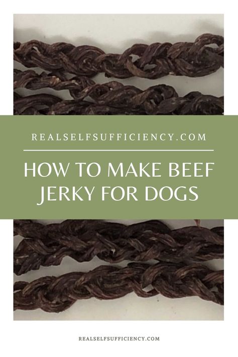 Make beef jerky for your dog! Easy to make and great for your pets teeth! #beefjerky #jerkyfordogs #dogtreats Dehydrator Dog Treats, Ground Beef Jerky, Ground Beef Jerky Recipe, Make Beef Jerky, Jerky For Dogs, Beef Jerky Recipe, Beef Dog Treats, Homemade Beef Jerky, Jerky Recipe