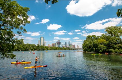 Lady Bird Lake is the epitome of the Austin lifestyle. Visit our blog to learn how to paddle Lady Bird like a pro! Lake House Rentals, Weekend In Austin, Lake Kayaking, Austin Skyline, Visit Austin, Lady Bird Lake, Lake Austin, Kayak Tours, Downtown Austin