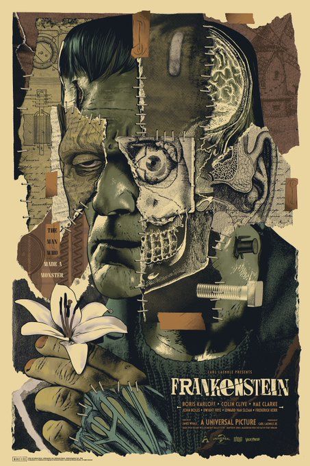 Frankenstein 1931 Poster, Opera Posters Vintage, Frankenstein Asthetic, Frankenstein Art Illustrations, Frankenstein Collage, Frankenstein Sketch, Opera Artwork, Frankenstein Aesthetic, Frankenstein Illustration