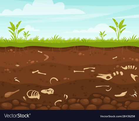 Dirt Illustration, Aurora Illustration, Fossil Illustration, Campbell Soup Art, Soil Illustration, Animals Skeleton, Fossil Art, Zbrush Character, Flat Vector Illustration