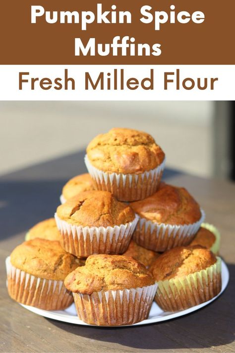 Fresh Milled Pumpkin Muffins, Fresh Milled Flour Pumpkin Muffins, Freshly Milled Flour Muffins, Fresh Milled Flour Pumpkin Bread, Fresh Milled Pumpkin Bread, Fresh Milled Muffin Recipes, Milled Grain Recipes, Fresh Milled Flour Scones, Fresh Milled Scones