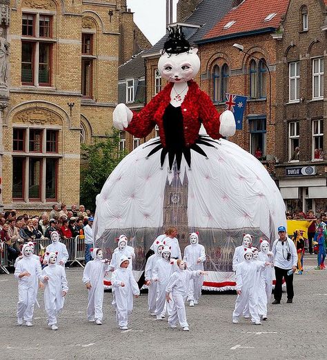 Kattenstoet: The Festival Of Cats - Belgium Ypres Belgium, Festival Dates, Festivals Around The World, Belgium Travel, Pet Friendly Hotels, Travel And Leisure, Crazy Cat Lady, A Group, Tourist Attraction