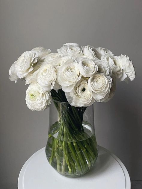 Ms.Mulberry on Tumblr White Ranunculus, Peonies And Hydrangeas, Boquette Flowers, Nothing But Flowers, Flower Therapy, Beautiful Bouquet Of Flowers, Luxury Flowers, Flower Phone Wallpaper, Ranunculus