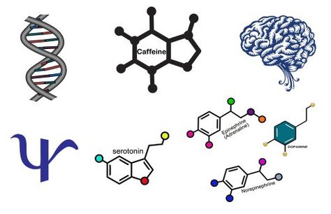 Psychology Temporary Tattoo Variety Pack >>> For more information, visit image link. Note:It is Affiliate Link to Amazon. Psychology Tattoos, Psychology Tattoo, Molecule Tattoo, Caffeine Molecule, Classroom Prizes, Diy Home Accessories, Tattoo Kits, Vintage Keys, Body Makeup