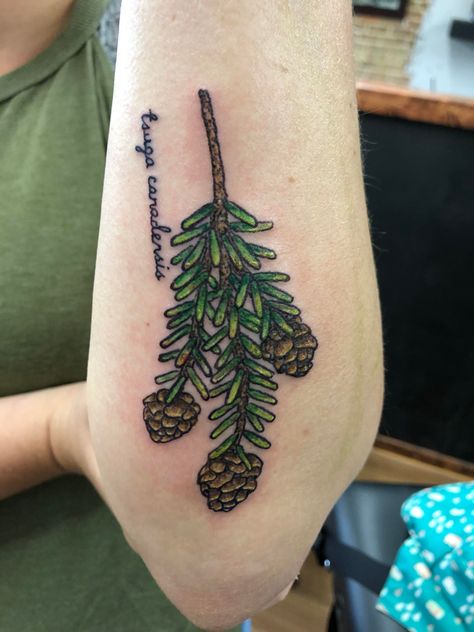 Hemlock Tattoo, Hemlock Tree, Tsuga Canadensis, Eastern Hemlock, R Tattoo, Professional Tattoo, Sticks And Stones, Tree Tattoo, Best Tattoo