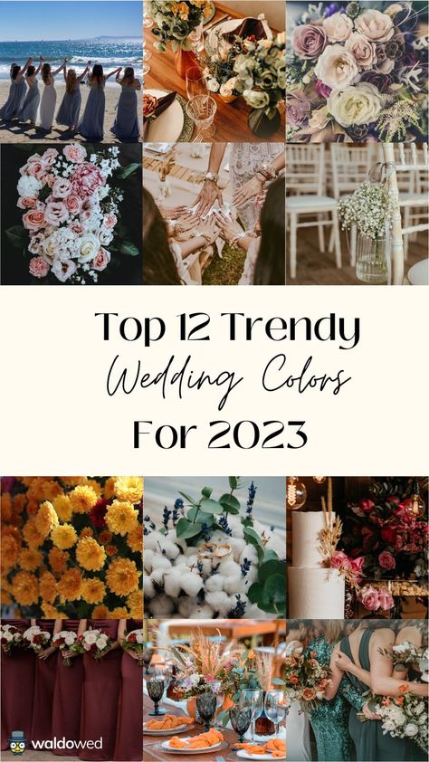 2023 Wedding Colors Summer, Wedding Colours For 2023, Wedding Colors For Fall 2023, October Wedding Colors 2023, Trending Wedding Colours 2023, Wedding Motiff 2023, August Wedding Colors 2023, Wedding Ideas Color Schemes Fall, 2023 Wedding Colour Trends