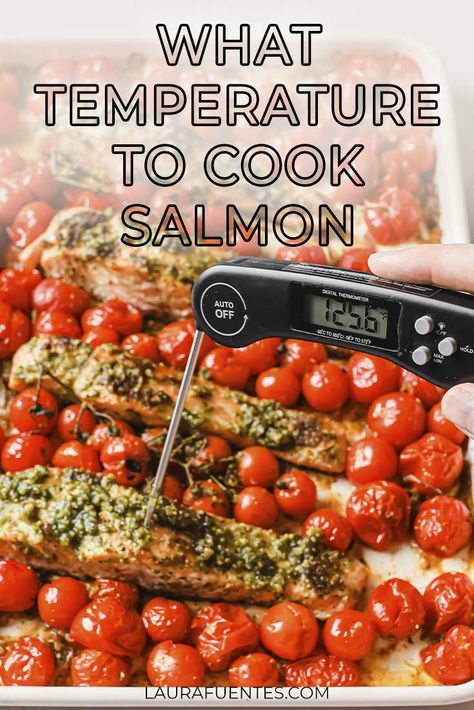 Internal Temp For Salmon, Salmon Temperature Chart, What Temp To Bake Salmon, How Long Do You Cook Salmon In The Oven, How Long To Cook Salmon In Oven, How Long To Bake Salmon In Oven, Oven Cooked Salmon, Bake Frozen Salmon, Bake Salmon