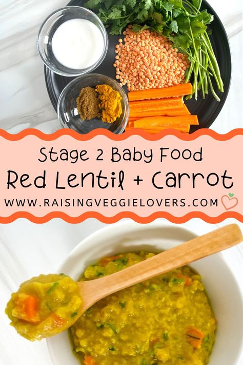 This Red Lentil   Carrot Baby Food Mash is packed with protein and vitamins, perfect for your 6 month  baby. #babyfoodrecipes #babyfoodstage2 #lentils #carrots Blw Lentils, Lentil Recipes For Kids, Protein Baby Food Puree, Blw Lentil Recipes, Red Lentil Baby Food Recipe, Lent Friday Meals Dinners, Lentils For Toddlers, Chickpea Baby Food Recipes, Baby Led Weaning Protein