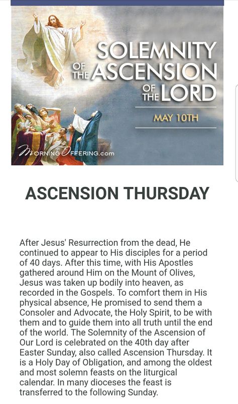 Ascension Thursday, Ascension Of Jesus, Ascension Day, Mary Catholic, Catholic Family, Jesus Resurrection, Catholic Quotes, Change Of Heart, Religious Quotes