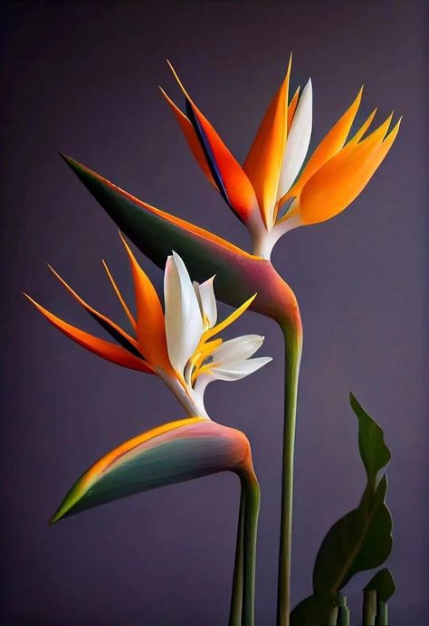 Tropical Plants Painting, Heliconia Flower, Birds Of Paradise Flower, Canvas Painting Tutorials, Painting Art Lesson, Flower Art Images, Bird Of Paradise, Beautiful Flowers Pictures, Diy Canvas Art Painting