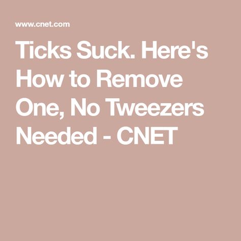 Ticks Suck. Here's How to Remove One, No Tweezers Needed - CNET How To Remove Ticks From People, Wood Tick, Tick Removal, How To Protect Yourself, Cotton Ball, Medical Advice, Tweezers, Ticks, Get One