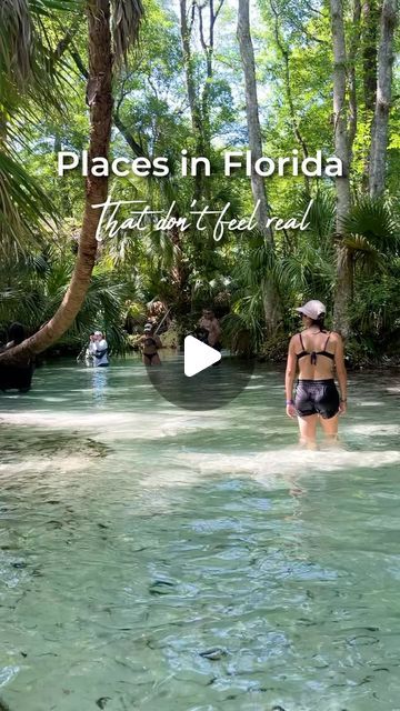 Must See Florida on Instagram: "Step into another world in this hidden paradise located at #RainbowSprings in Florida 🌴☀️💦

A natural lazy river that you will have to paddle out to get to. Float, paddle, or walk through crystal-clear water once you find it 😎

🛶 Launch your kayak or paddle board at KP Hole Park which is located near this particular spring. You can also rent if needed:
- Single Kayak ($10/hour)
- Double Kayak ($12/hour)
- Canoe ($10/hour)
- Paddle Board ($12/hour)

🎟️ Make sure you get a wristband! Access to the river is $7/person.

Always remember to keep it clean and be respectful when visiting! ♻️ Many of our springs in Florida are pristine because they are well-taken care of so that we can continue to enjoy their natural beauty. Avoid disposable plastics, aluminum c Paddle Boarding Florida, Dunnellon Florida, Springs In Florida, Double Kayak, Rainbow Springs, Florida Springs, Places In Florida, Lazy River, Keep It Clean