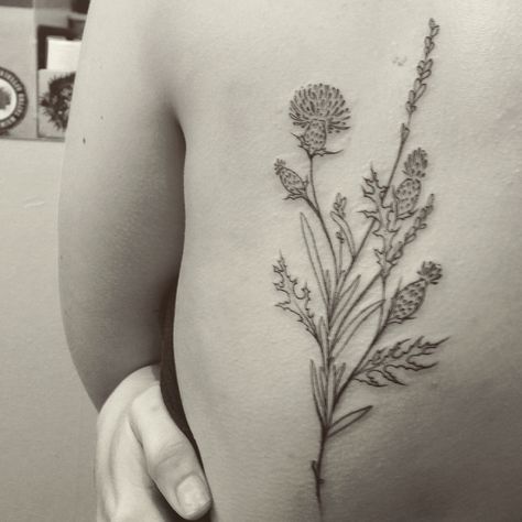 Thistle and Lavender @norapetersontattoos Thistle Spine Tattoo, Thistle And Heather Tattoo, Fine Line Scottish Thistle Tattoo, Thistle Arm Tattoo, Thistle Ankle Tattoo, Thistle Tattoo Black And White, Thistle Tattoo, Clover Tattoos, Bouquet Tattoo