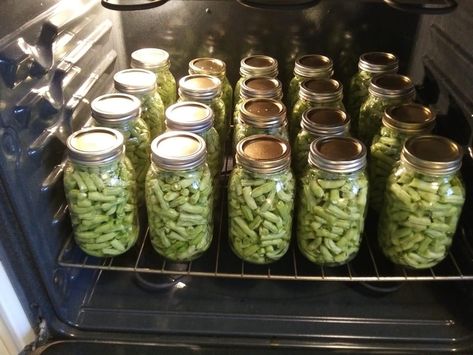 Canning Green Beans In The Oven, Canning In The Oven, Steam Canning Recipes, Oven Canning Method, Canning Ring Storage, Cold Pack Canning, Green Beans Canning, Green Beans In The Oven, Canning Green Beans