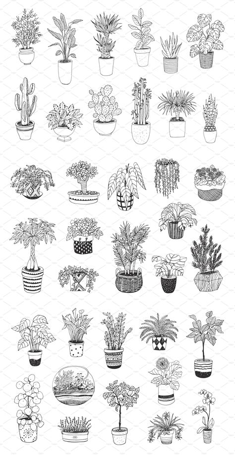 Plant Drawing Sketch, Plant Tatoos, Drawing Plants And Flowers, Sketches Of Plants, Plant Doodles, Plants Vector, Plants Drawing, Plant Sketches, Plant Doodle