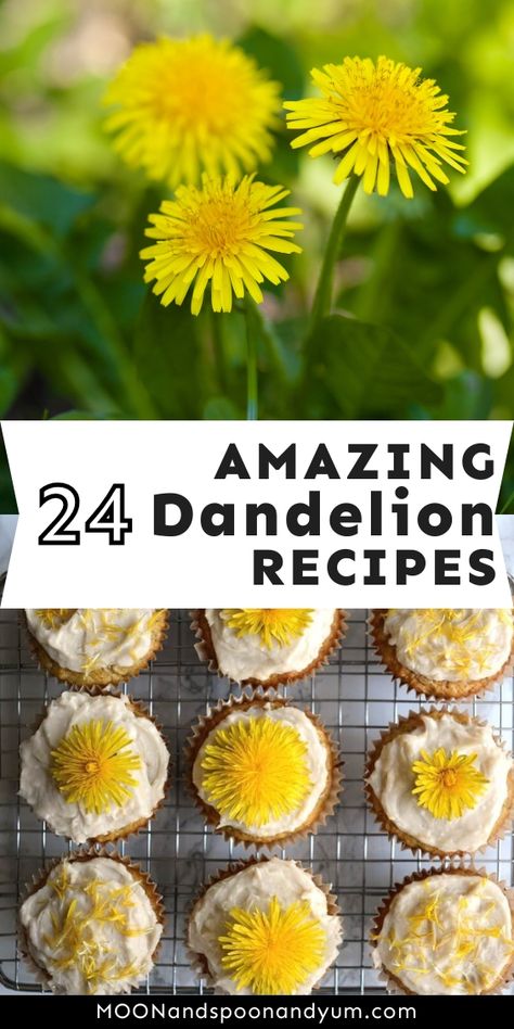 Foraging Tips, Recipes For Drinks, Dandelion Salve, Flower Recipes, Dandelion Benefits, Fermented Honey, Edible Flowers Recipes, Honey Wine, Wild Food Foraging