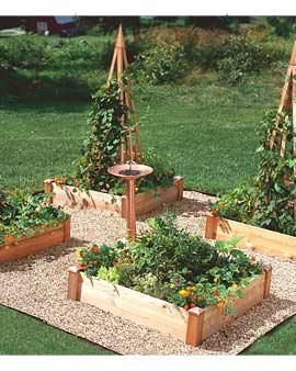 Now we're talking! A raised bed garden that I could actually afford! Florida Backyard, Kitchen Gardening, Vegetable Garden Beds, Fairies Garden, Vegetable Beds Raised, Garden Therapy, Vegetable Garden Raised Beds, Gardening Inspiration, Garden Fun