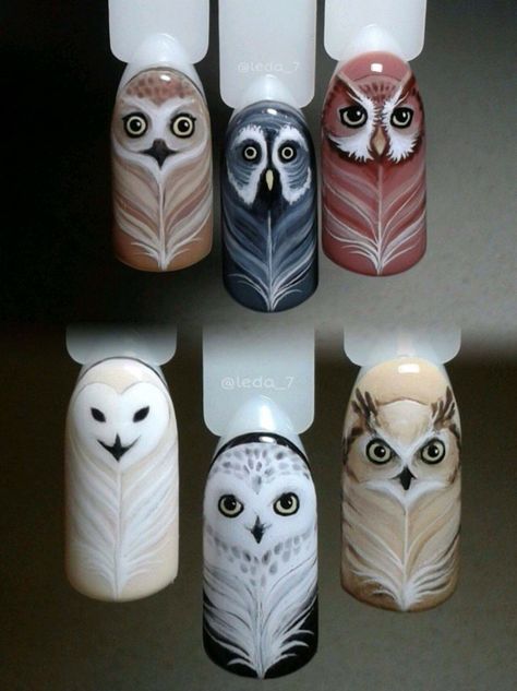 Owl Nail Designs, Owl Nail Art, Owl Nails, 3d Nail Designs, Animal Nail Art, Crazy Nail Art, Nail Drawing, Stylish Nails Designs, Nails Now