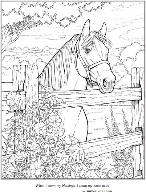 Dover Coloring Pages, Horse Coloring Books, Coloring Stuff, Farm Coloring Pages, Farm Animal Coloring Pages, Wilde Westen, Children's Activities, Horse Coloring Pages, Dover Publications