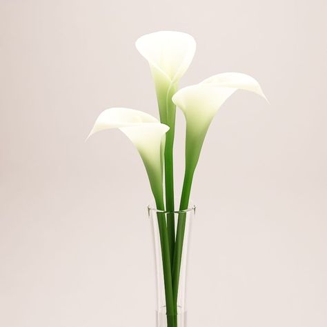 Calla Lily - Tall Vase 3D Model $15 - .max .obj .3ds - Free3D Lily In Vase, Lily Wedding Invitations, Zantedeschia Aethiopica, Flower Bouquet Vase, Calla Lily Flower, Lily Vases, Calla Lily Bouquet, Lily Wedding, Lily Bouquet