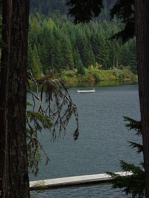 lost lake1 by millardog, via Flickr #whistler Whistler, Lake, Lost, Water, Photography